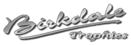 BirkdaleLogoWebsite